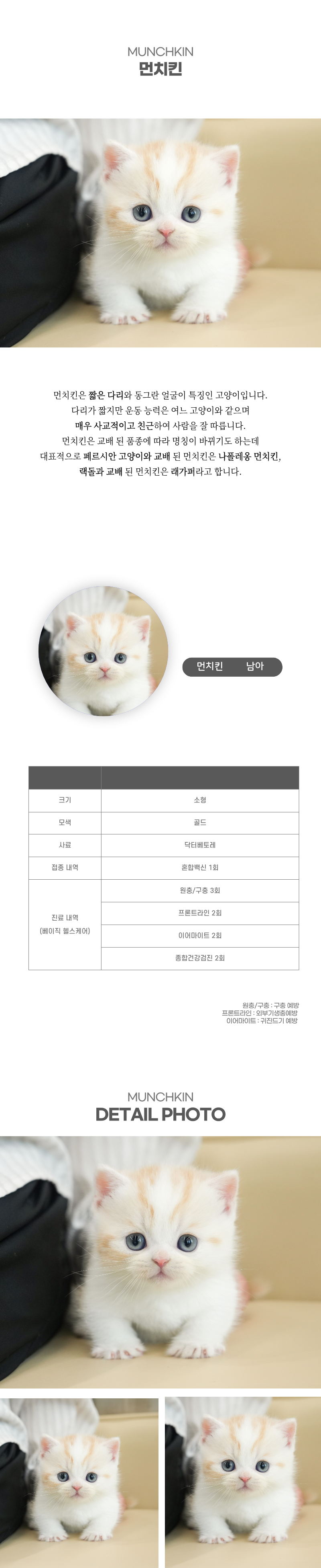 먼치킨_상세이미지_2